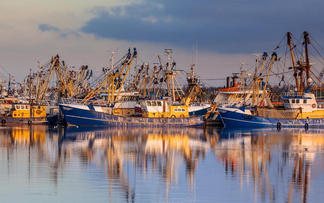 Maryland Plans to Increase PFAS Testing on Water Supplies and Oysters