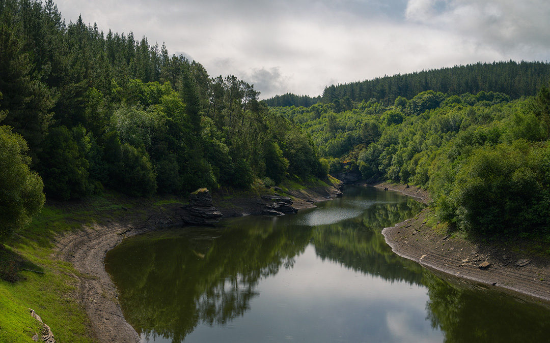 EPA Nominee Promises More “Urgency” in the Protection of U.S. Natural Resources