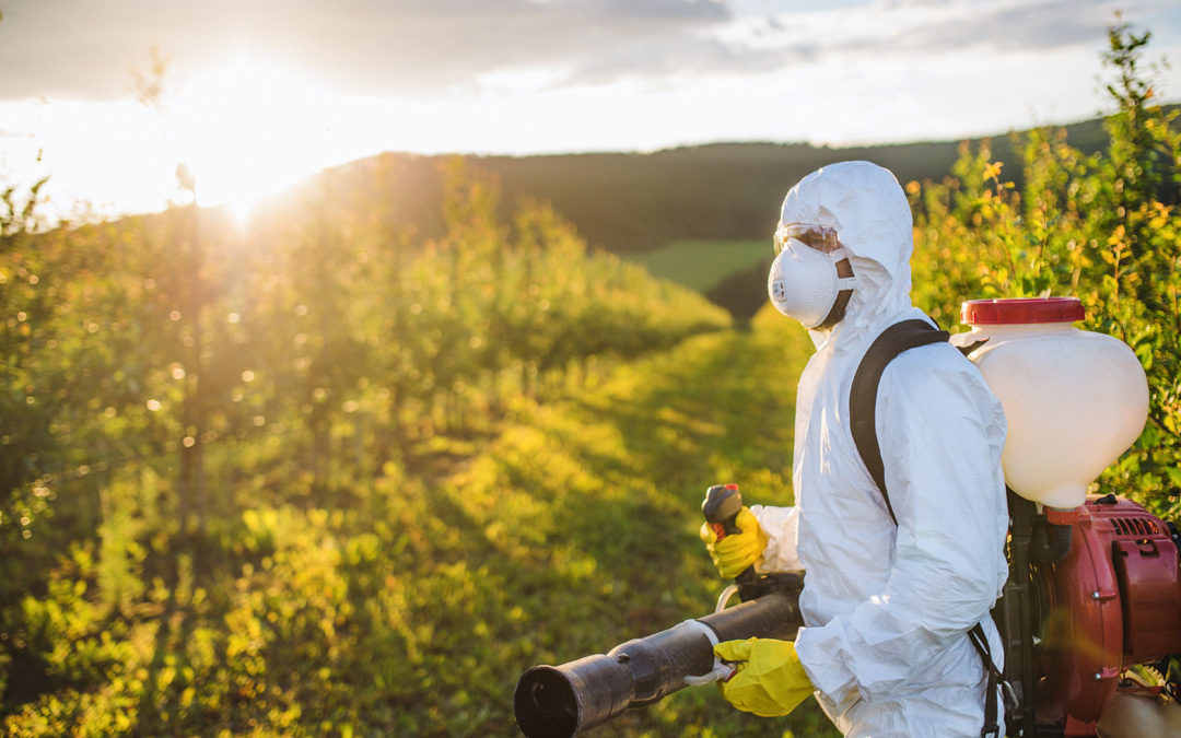 EPA investigates toxic ‘forever chemicals’ in pesticides