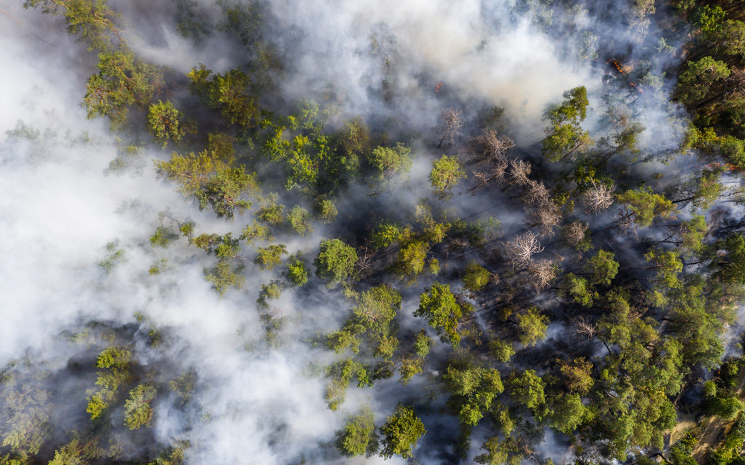 Wildfires may be affecting drinking water