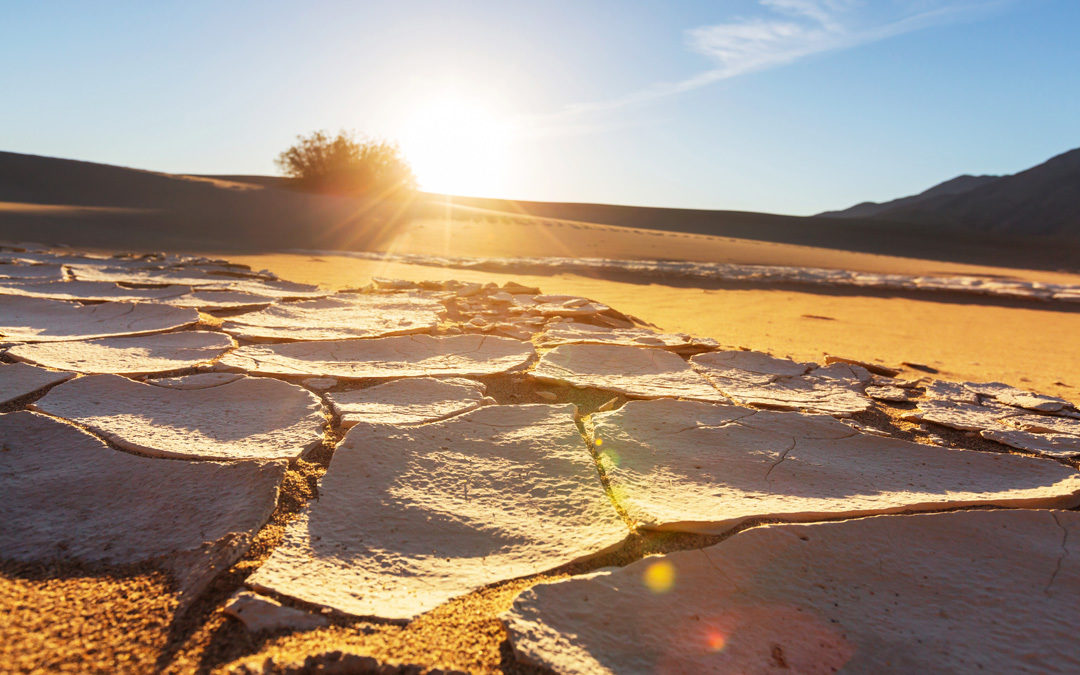 Western U.S. Grapples with the Consequences of Droughts