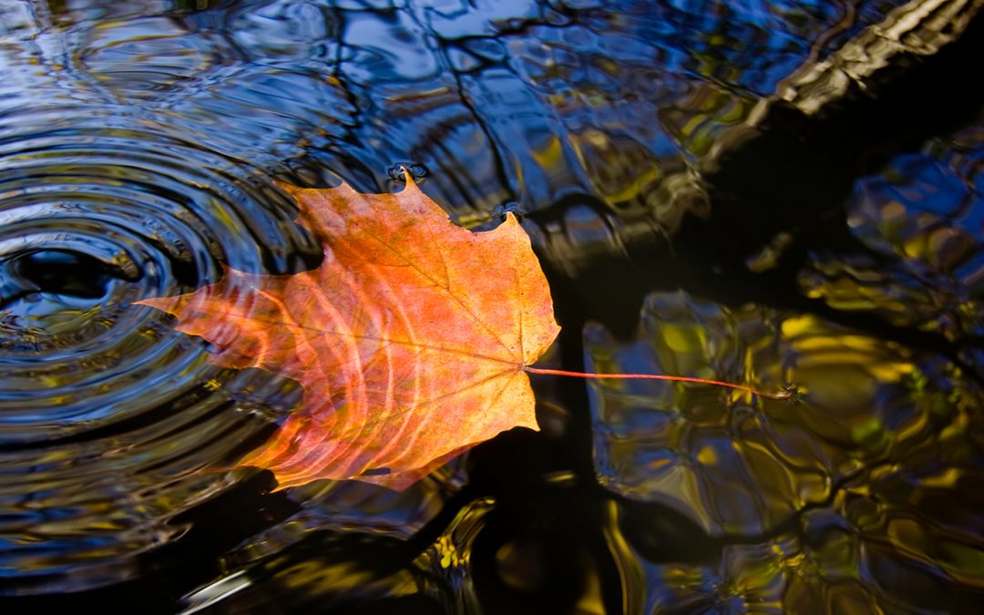 Canada Doesn’t Have a National Water Quality Standard