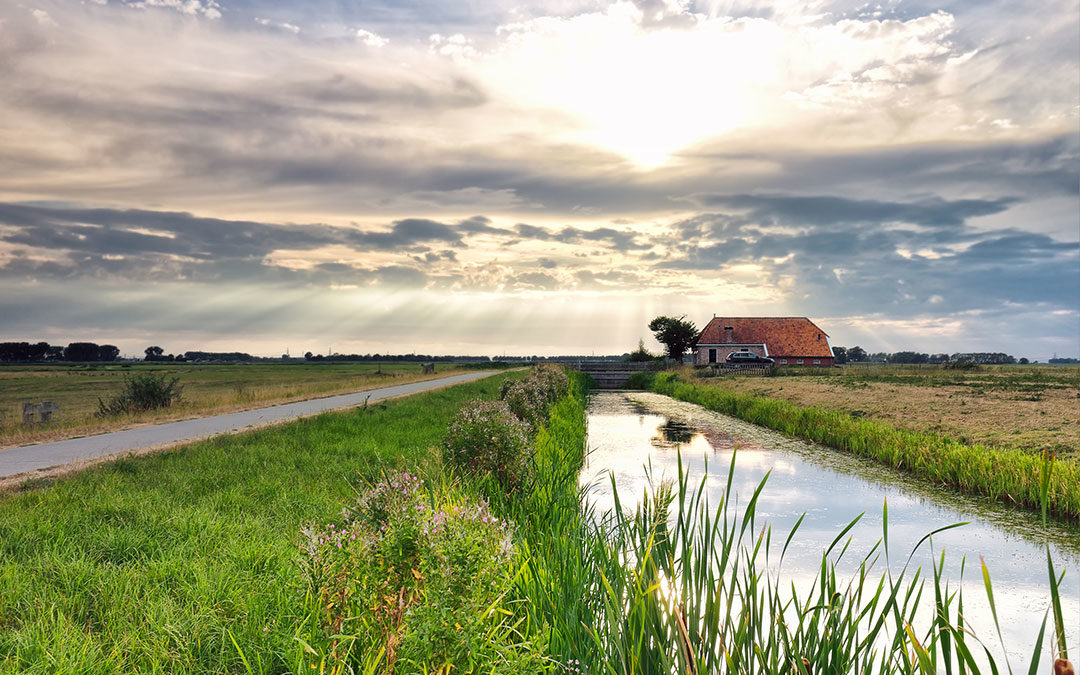 Aullwood Audubon Wells Contaminated by Forever Chemicals