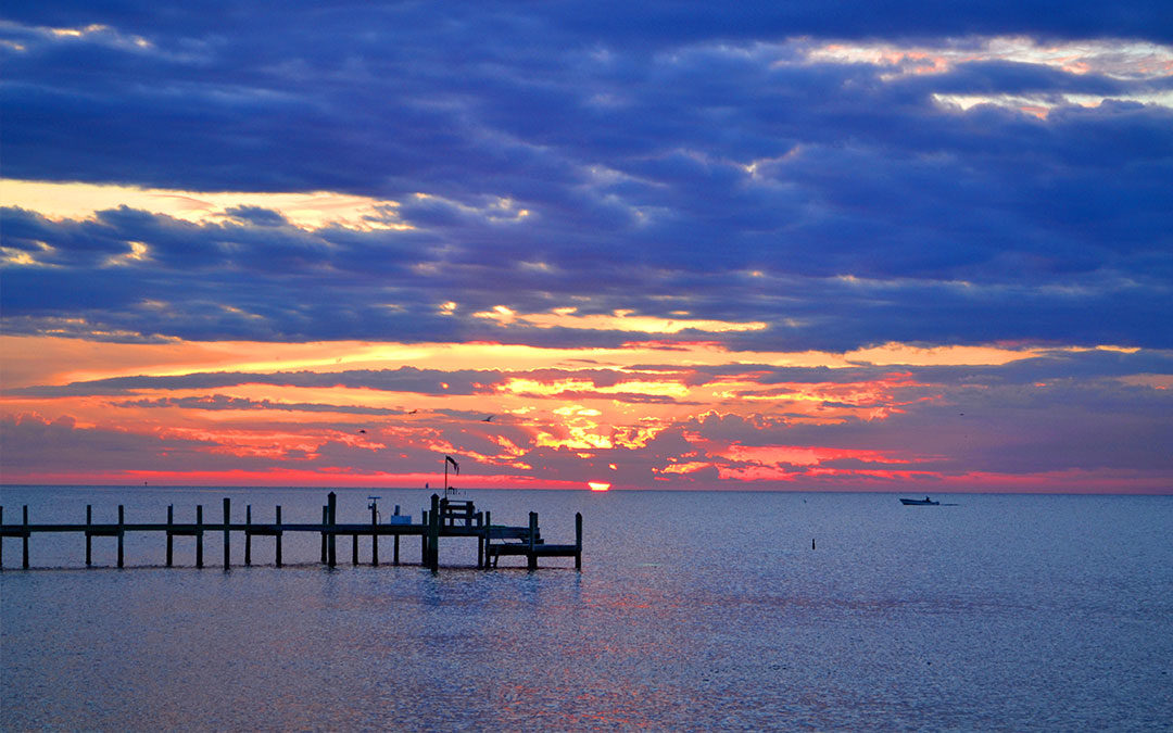 Chesapeake Bay Endangered by PFAS Leaks