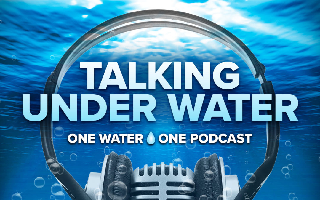 Water Industry Podcast Discusses Lead Concerns in Chicago Suburbs